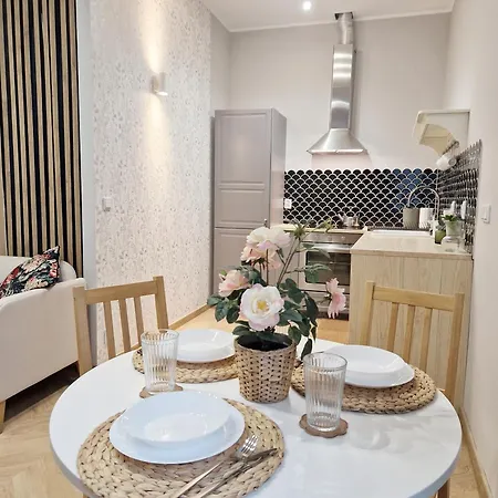 1m11 Centrum - Opcjonalne Miejsce Parkingowe, Dostep Na Kod, Netflix Łódź