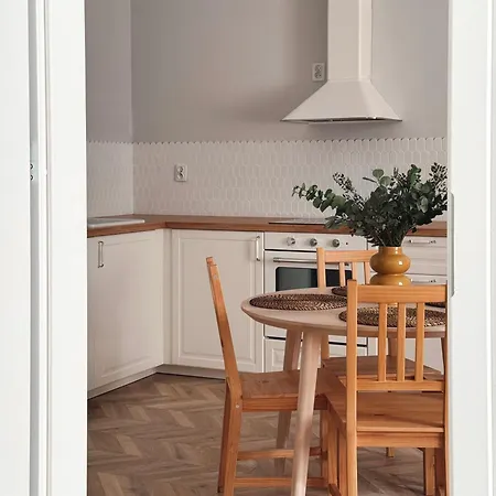 1m11 Centrum - Opcjonalne Miejsce Parkingowe, Dostep Na Kod, Netflix Łódź