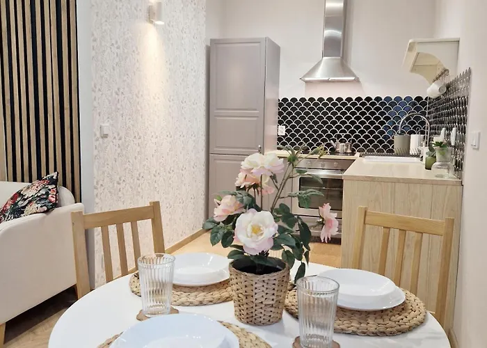 1m11 Centrum - Opcjonalne Miejsce Parkingowe, Dostep Na Kod, Netflix Łódź