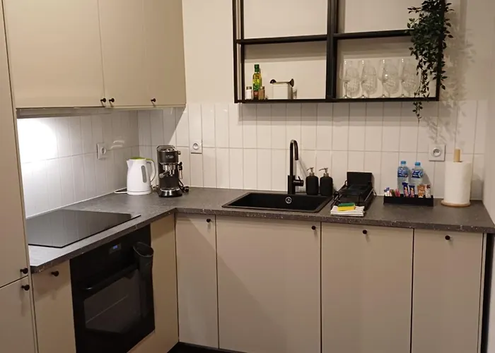 1m11 Centrum - Opcjonalne Miejsce Parkingowe, Dostep Na Kod, Netflix Daire Łódź